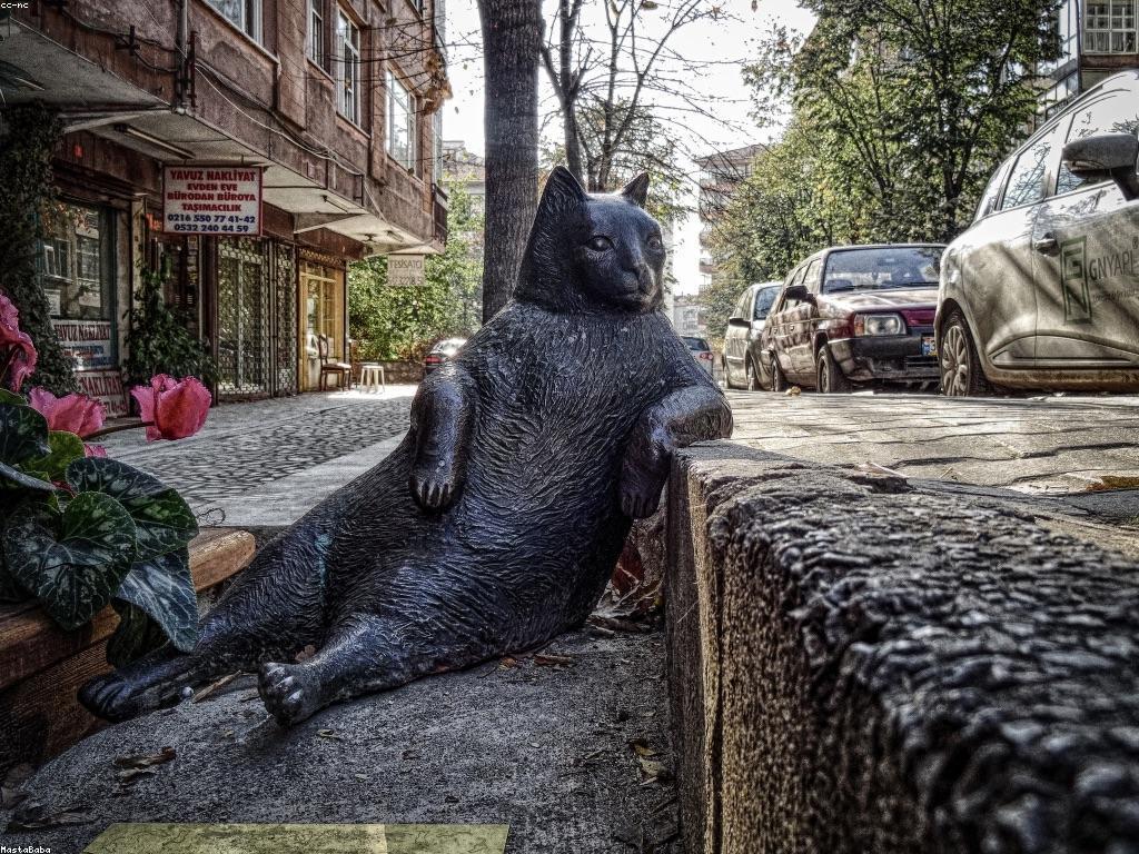 ការពារ និងសិទិ្ធ: ផ្នែកសំខាន់ក្នុងសង្គម