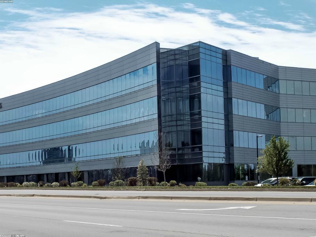 កាស៊ីណូអនឡាញ: មគ្គុទេសក៍សម្រាប់អ្នកលេងថ្មី